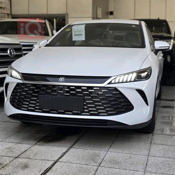 بي واي دي Qin Plus 2025 للبيع في العراق -  بغداد